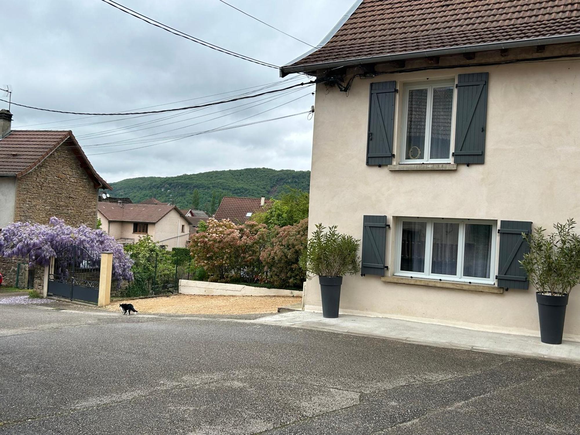 Les Glycines Villa Hieres-Sur-Amby Dış mekan fotoğraf